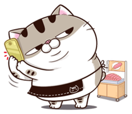 ypOl2db.png