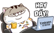 8II9VzC.png