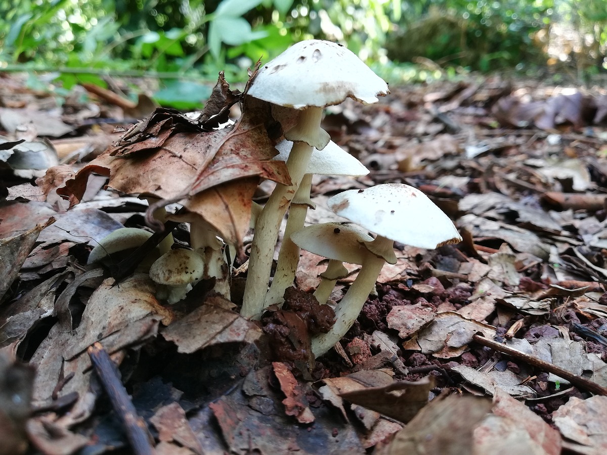2020a3b6f96e-0472-4cf8-8595-0b5ac40d243d.jpg