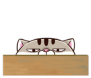 6PZcHGD.png