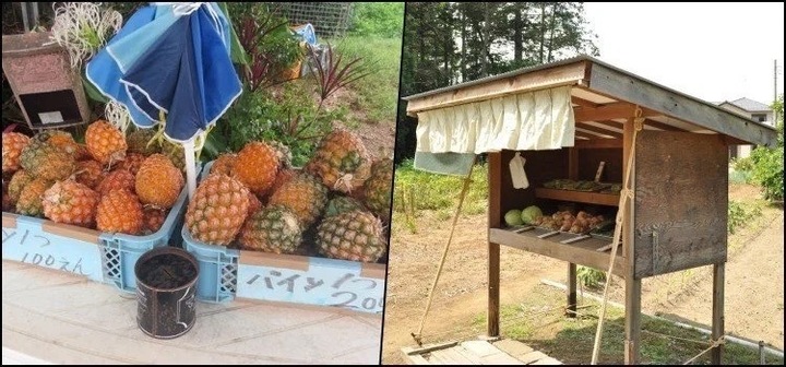 Tại Nhật Bản, nhiều quầy bán nông sản không người trông, khách chọn hàng rồi trả tiền. (Ảnh: JPO)