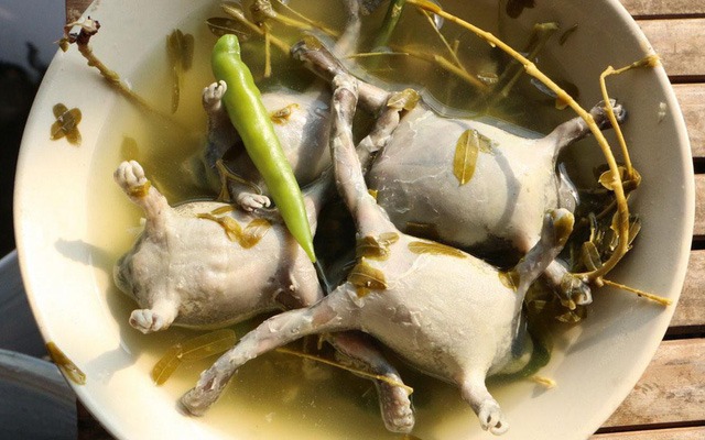 2020c570a4d9-04a3-4474-9878-69ce9abbed71.jpg