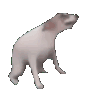 4s9gXHe.gif