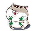5oRPggy.png