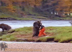 g6TreOK.gif