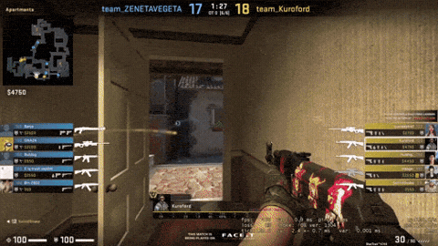 giphy-downsized-large.gif