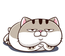 yIEbjWt.png