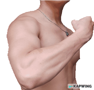 Pa5l4d6.gif