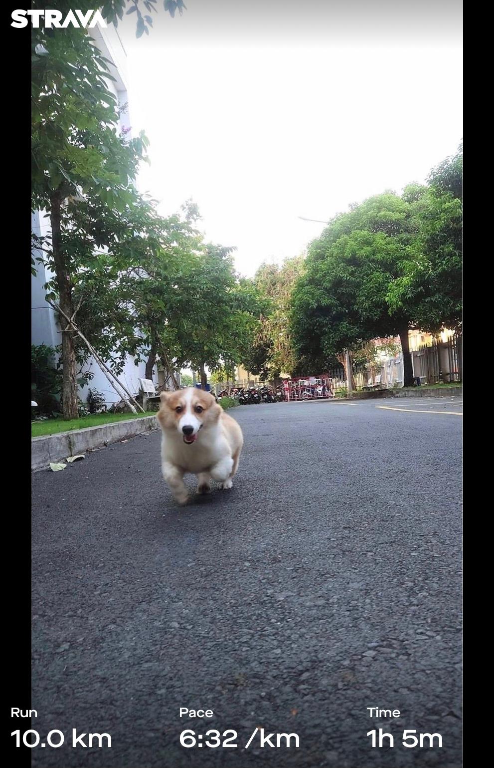 qHUsaiU.jpg