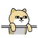 VsReno6.png