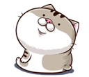 zZVWWPi.png
