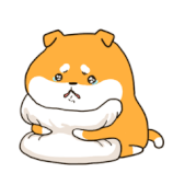 TQrcfuN.gif