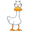 6fVFYB6.gif