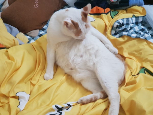 mhF7Bx0.jpg