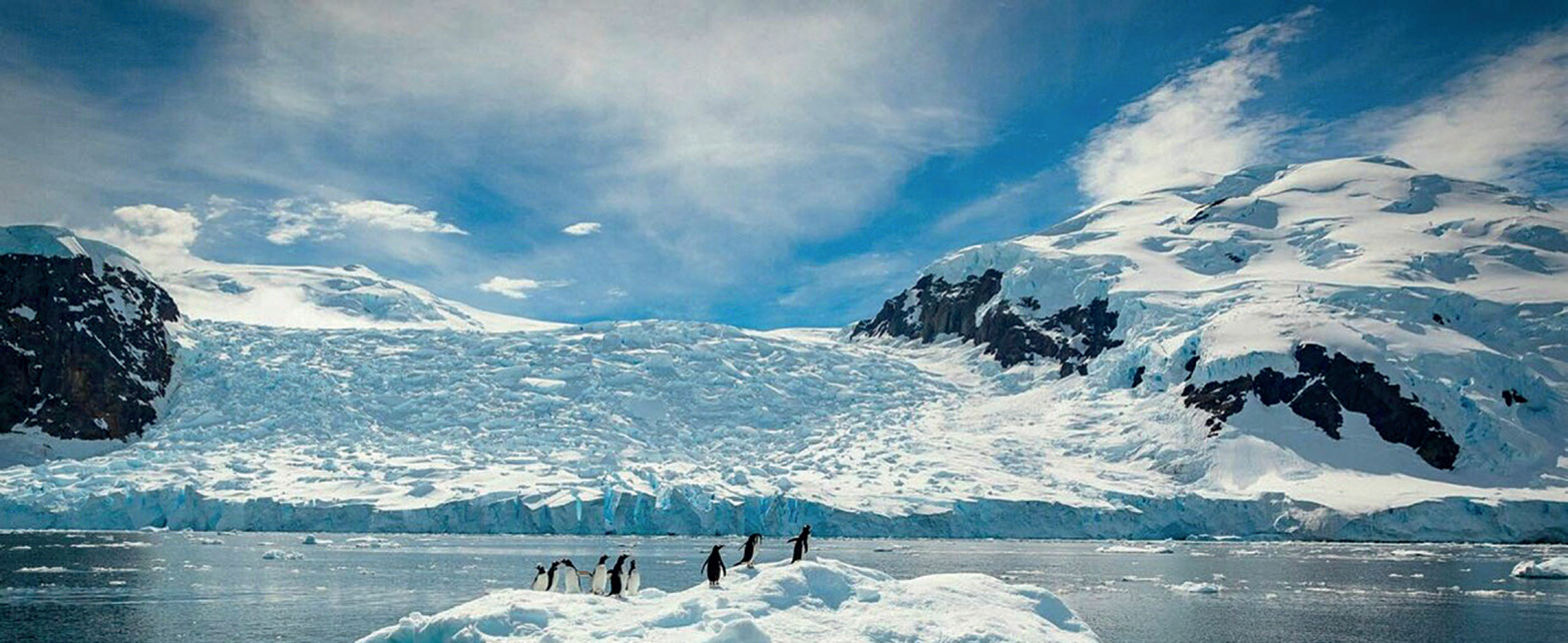 Châu Philà lục địa cónhiều quốcgia nhất vớitổng số 54quốc gia.Còn Nam Cựcthì không cóquốc gia nào!