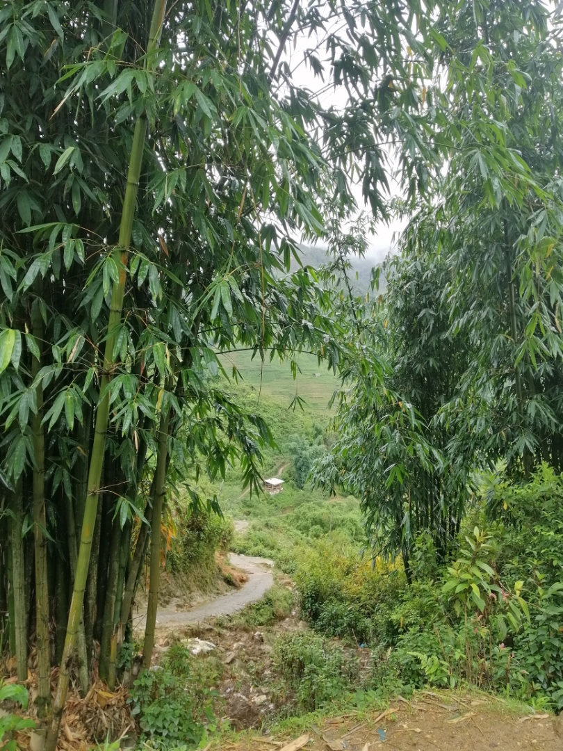 r635F20.jpg