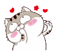 n3QPg2v.gif