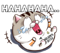 SrmKxFR.png