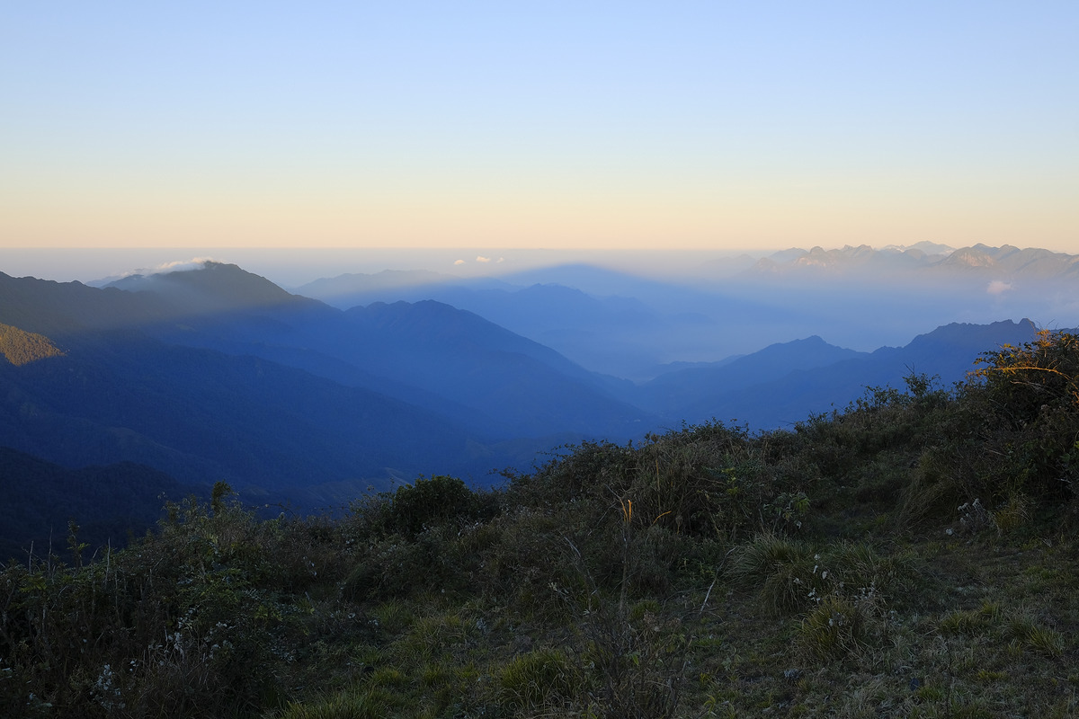 202033132df5-ebc9-4db9-a0f9-4593ff96f391.jpg