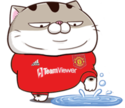 5VWHioB.png