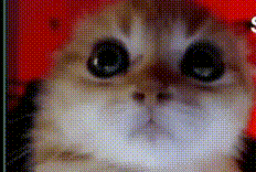 xCQZDnN.gif