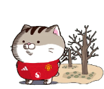 SqqOXfR.png