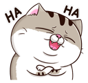 nZKbL6H.png