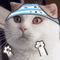 9gdKix7.gif