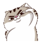 r2DB4tw.gif