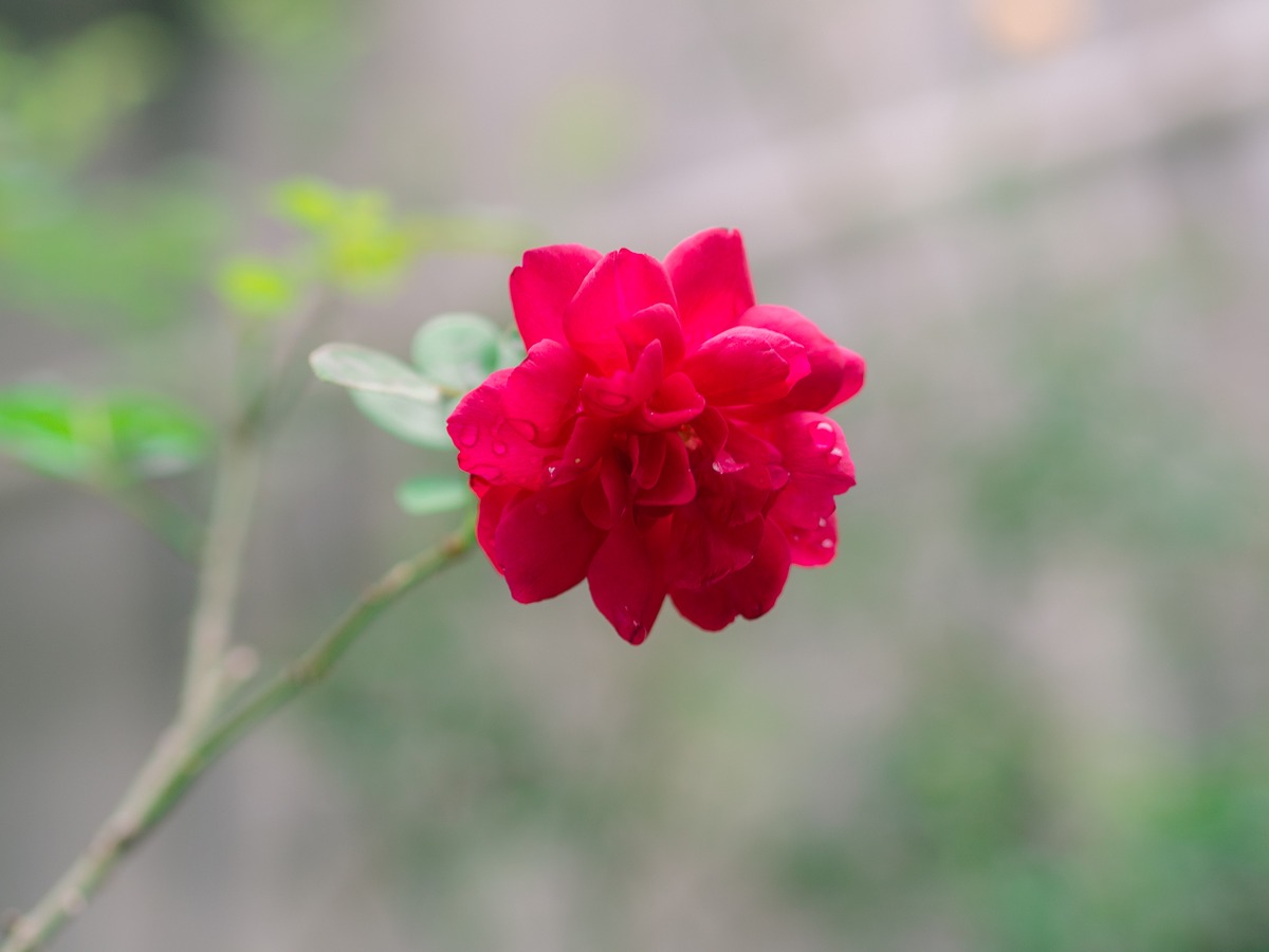 2020bd51e263-ac3b-4840-9e59-2abfb3a6a986.jpg