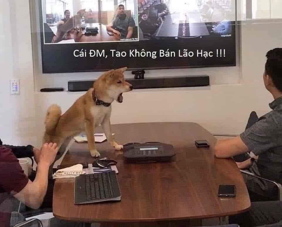 2021c0d62f87-9ee0-4af1-ae6e-db82b31b8dc6.jpg
