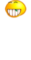 pXjMq19.gif