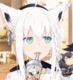 6Olg4kA.gif
