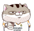 K8EeZF5.png