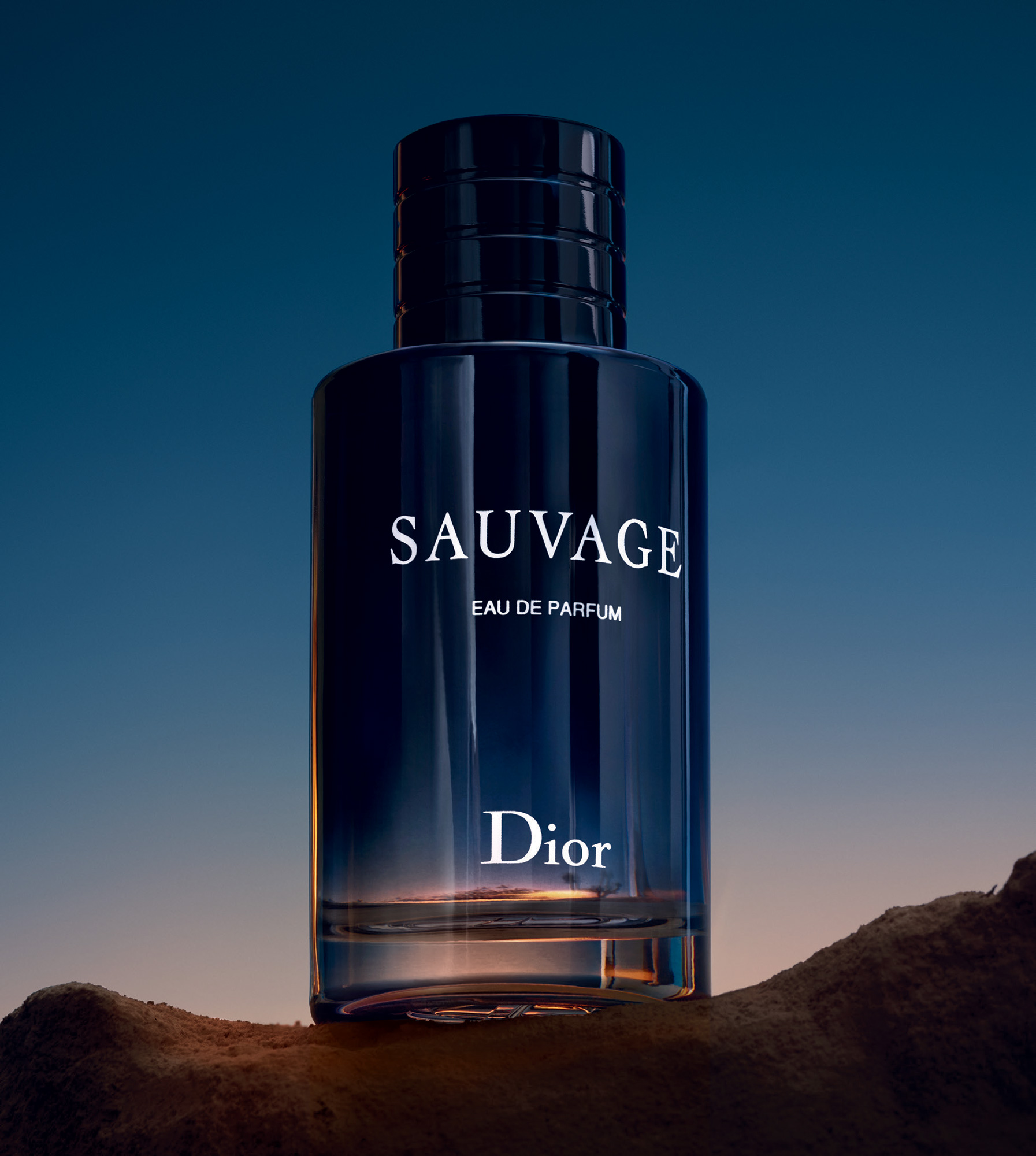 Image result for ambroxan sauvage