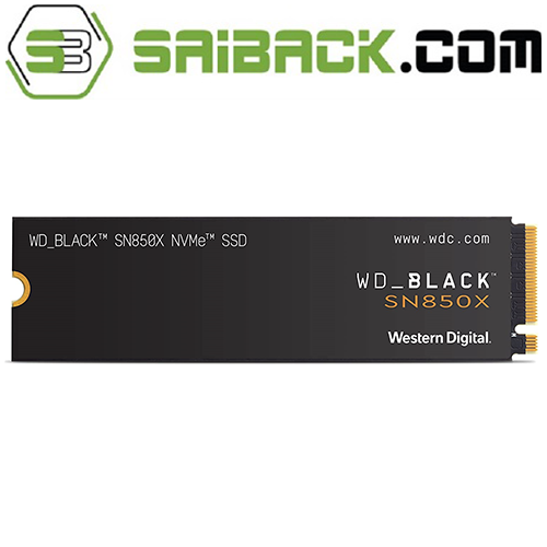 saiback.com