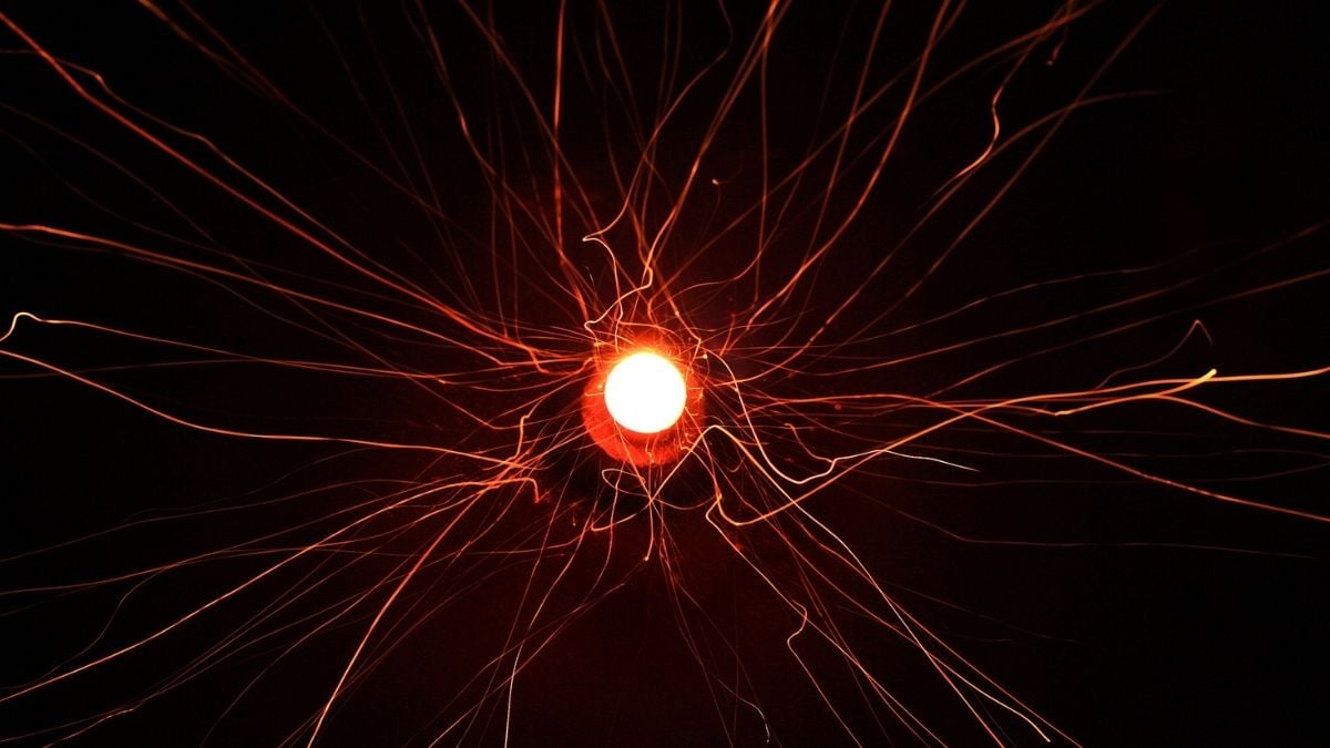 www.sciencealert.com