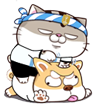 dDlJ9C0.png