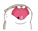 XOjQhE6.gif