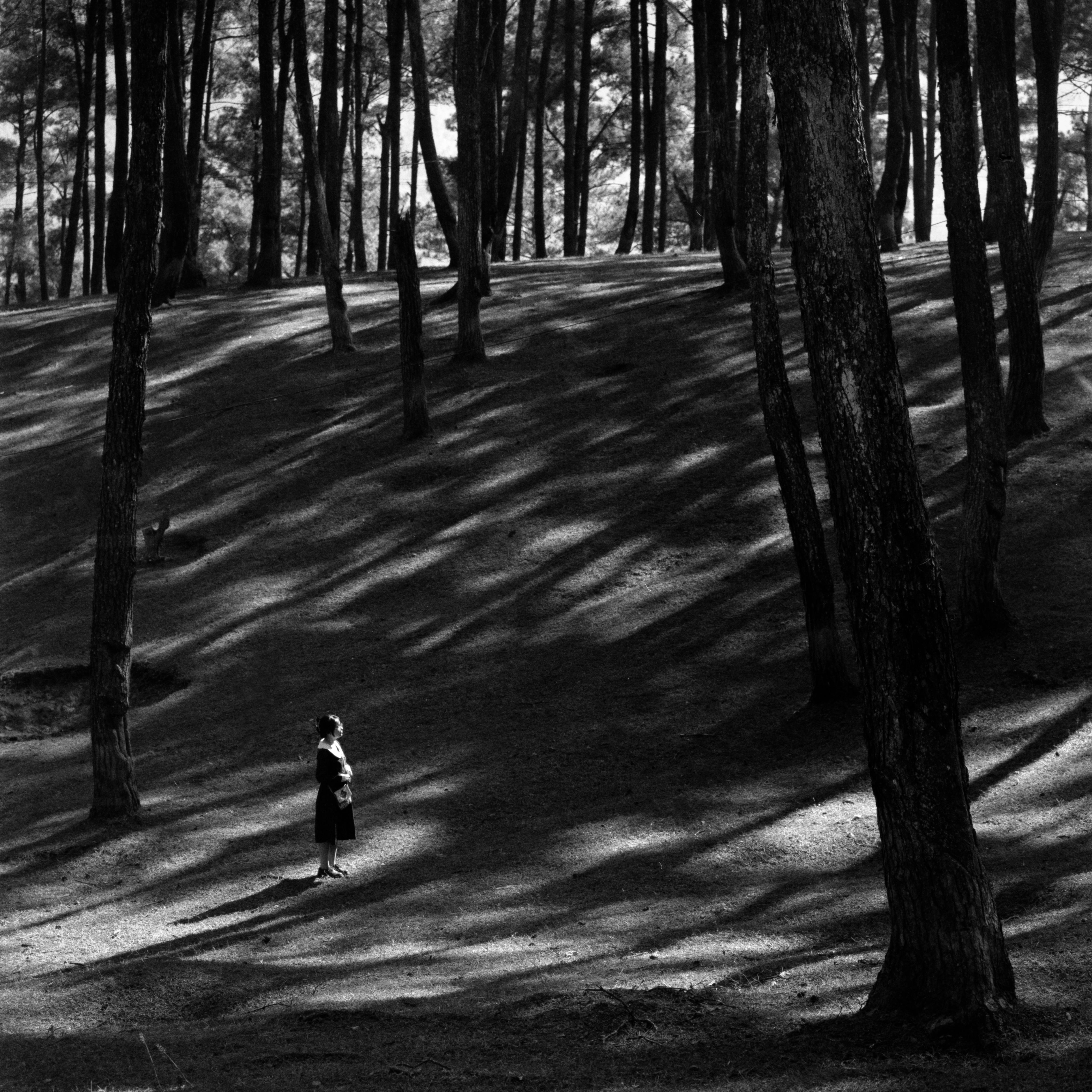 free-photo-of-black-and-white-photo-of-a-woman-standing-in-the-forest.jpeg