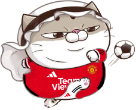 WjHgTVC.png