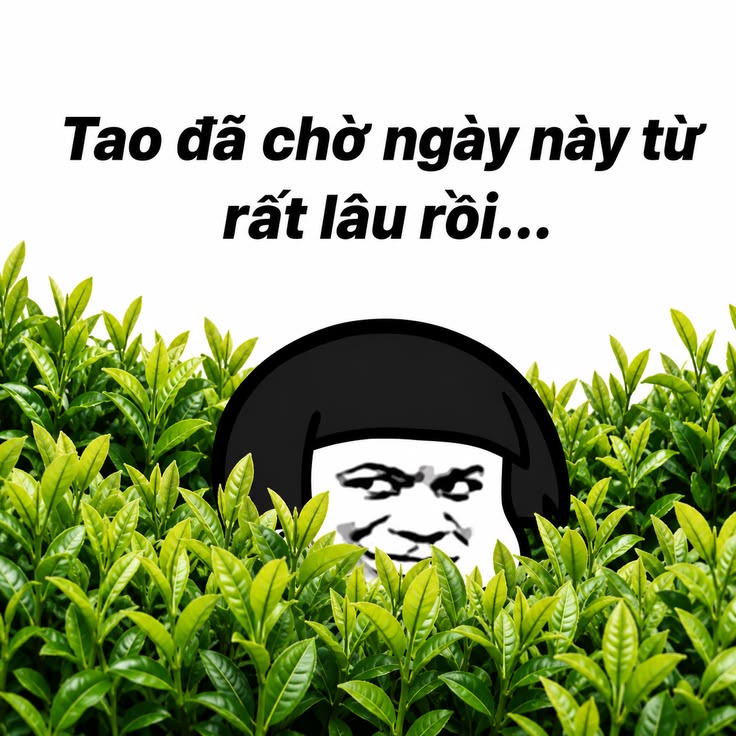 eHpKRVq.jpeg
