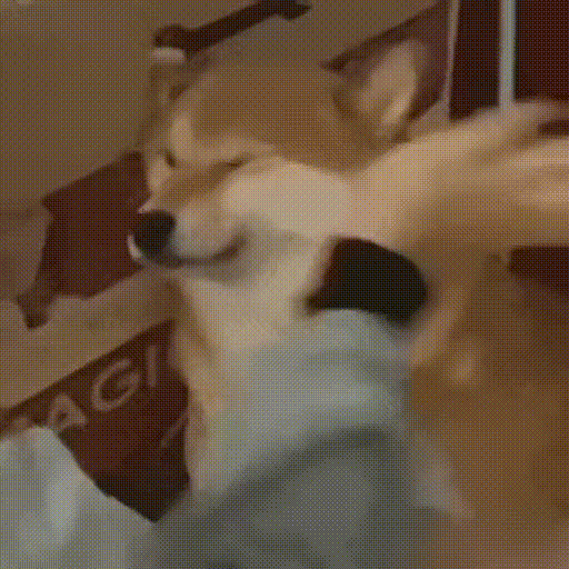 Tj2EXjr.gif