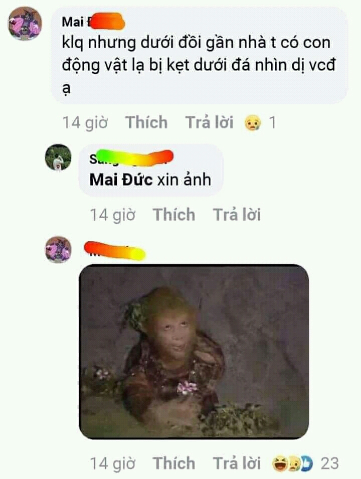 33A6obN.jpg