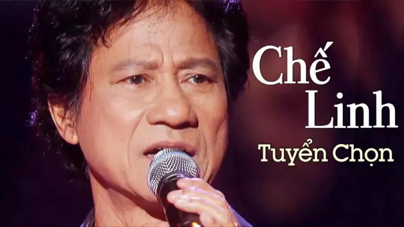 album-lossless-che-linh.webp