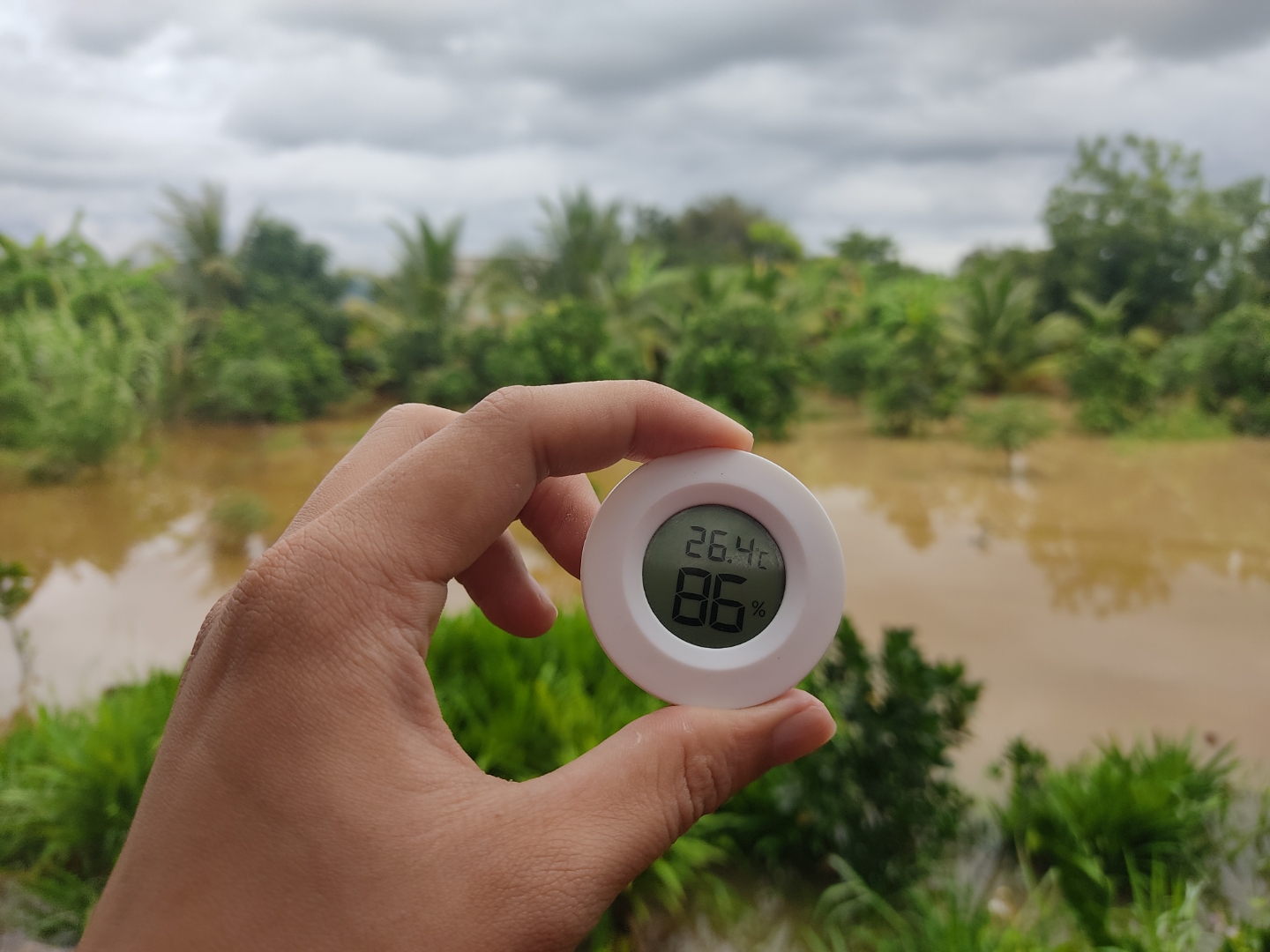 JW1mnL5.jpg