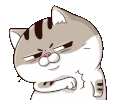53Vd285.gif