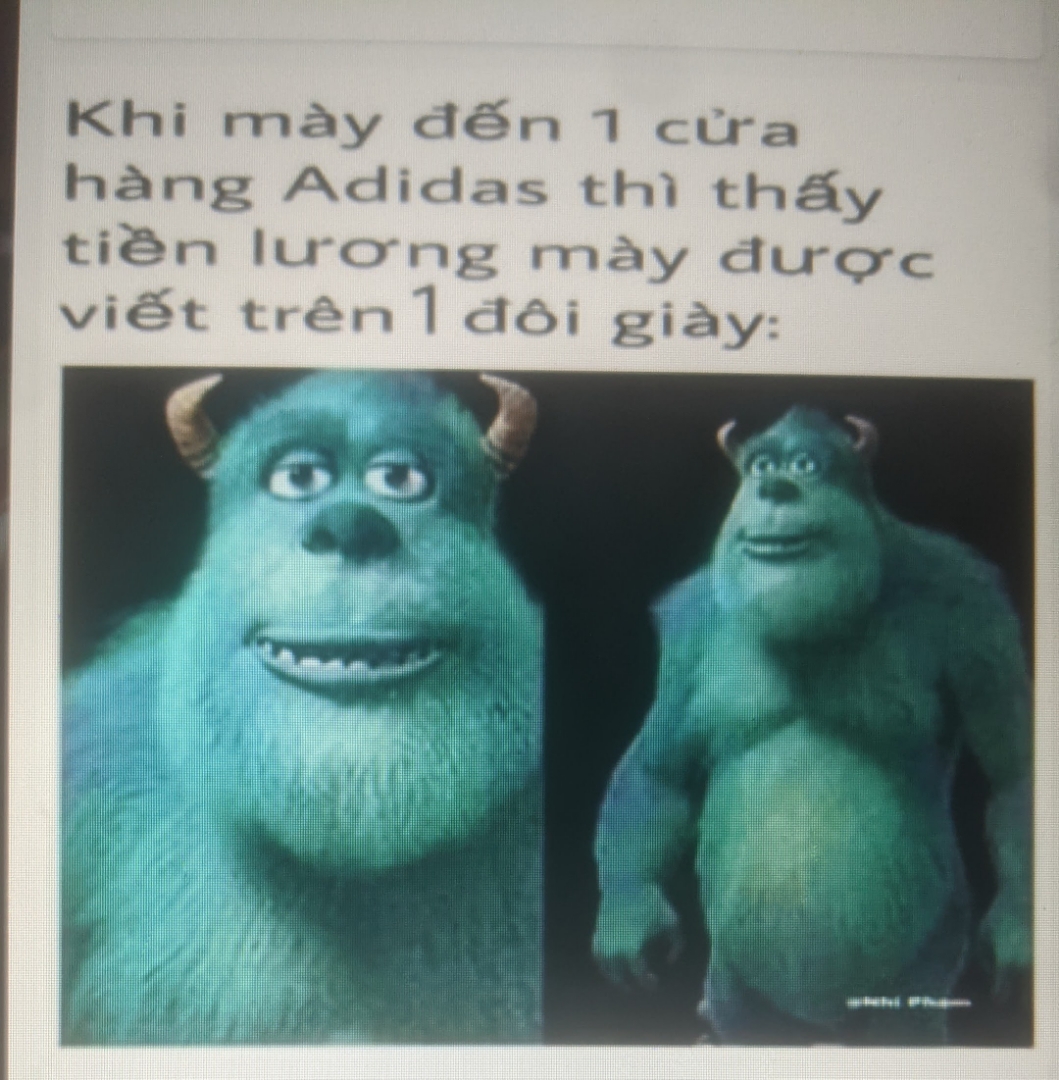 zJY89wx.jpg