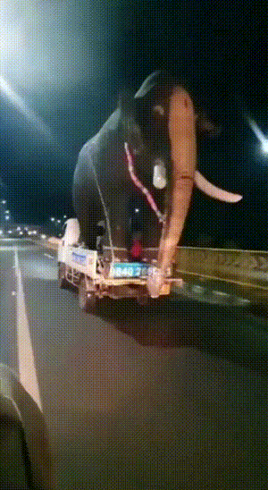 574e1b3d9b7ad367791529d2103a8c2d.gif