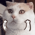 2Ipw8s2.gif
